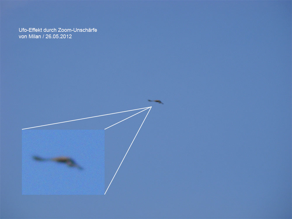 2012-05-gdz-Rotmilan-Ufoeffekt