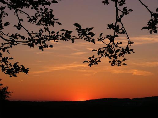 2012-05-hba-Sonnenuntergang - Odenwald
