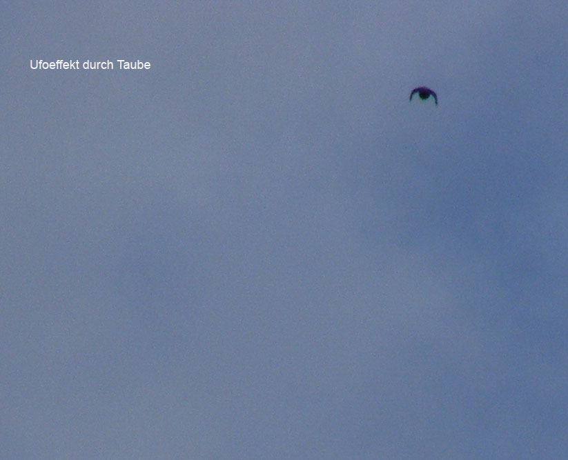 2012-07-cb-Ufoeffekt durch Taubenflug