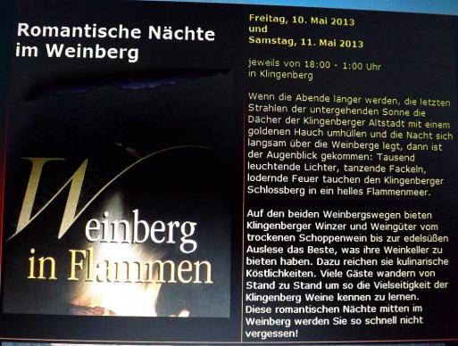 2013-05-chb-Weinberg in Flammen bei Klingenberg am Main