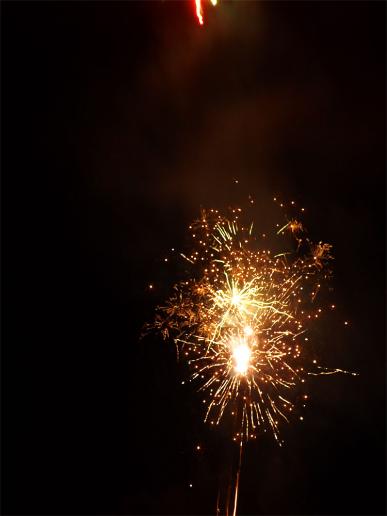 2014-01-abd-Silvester-Feuerwerk