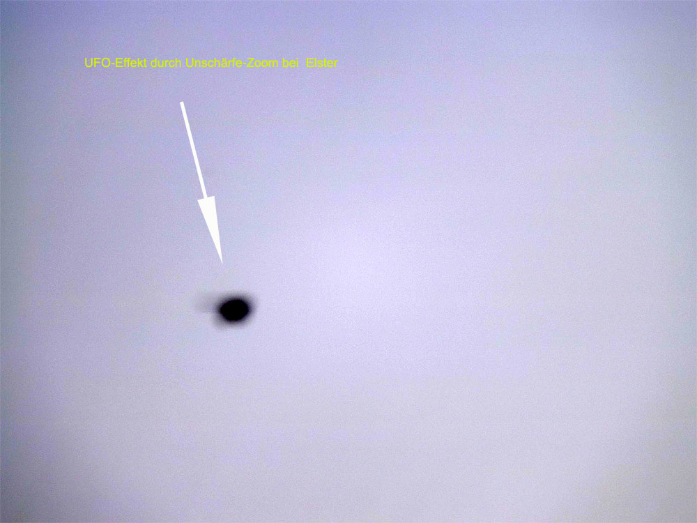 2014-03-boaa-Elster-Ufoeffekt