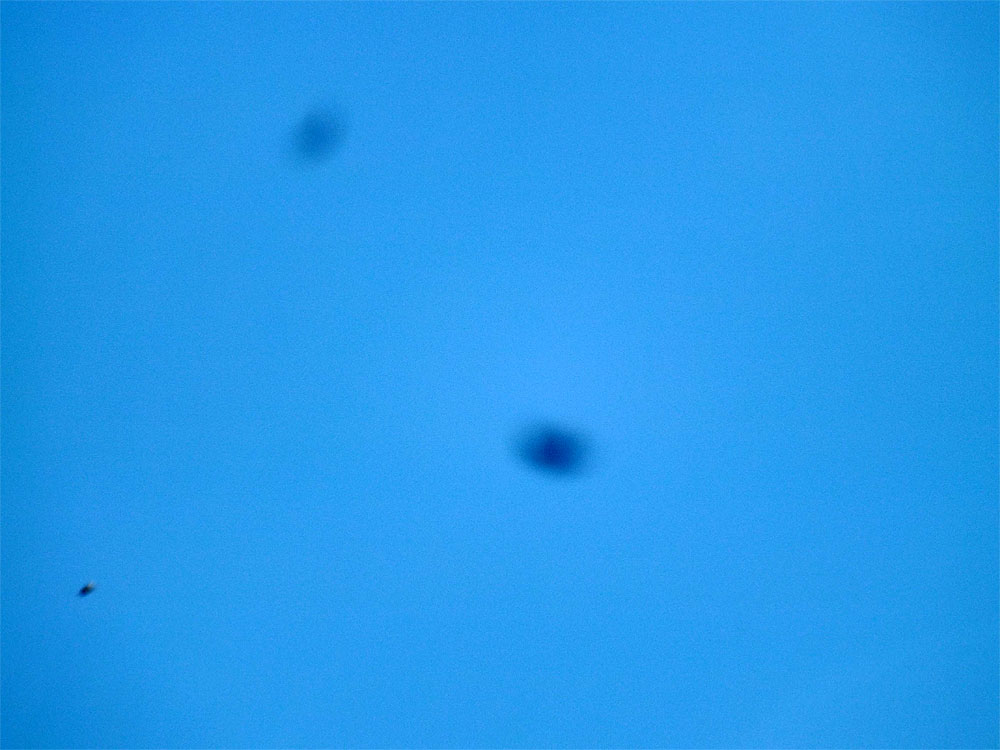 2014-06-ba-Insekteneffekt