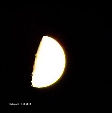 2014-08-akc-Mond