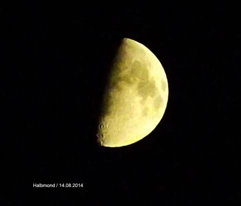 2014-08-akg-Mond