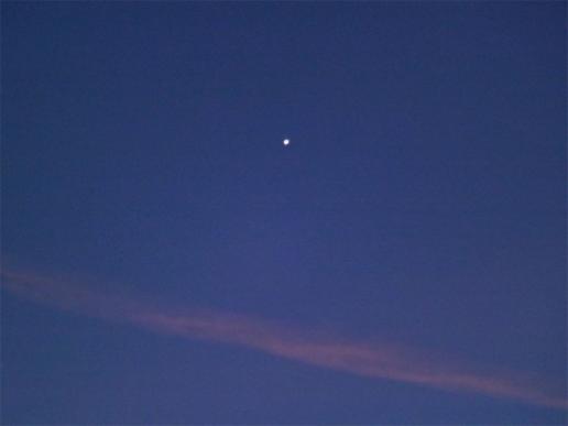 2015-02-bbw-Venus