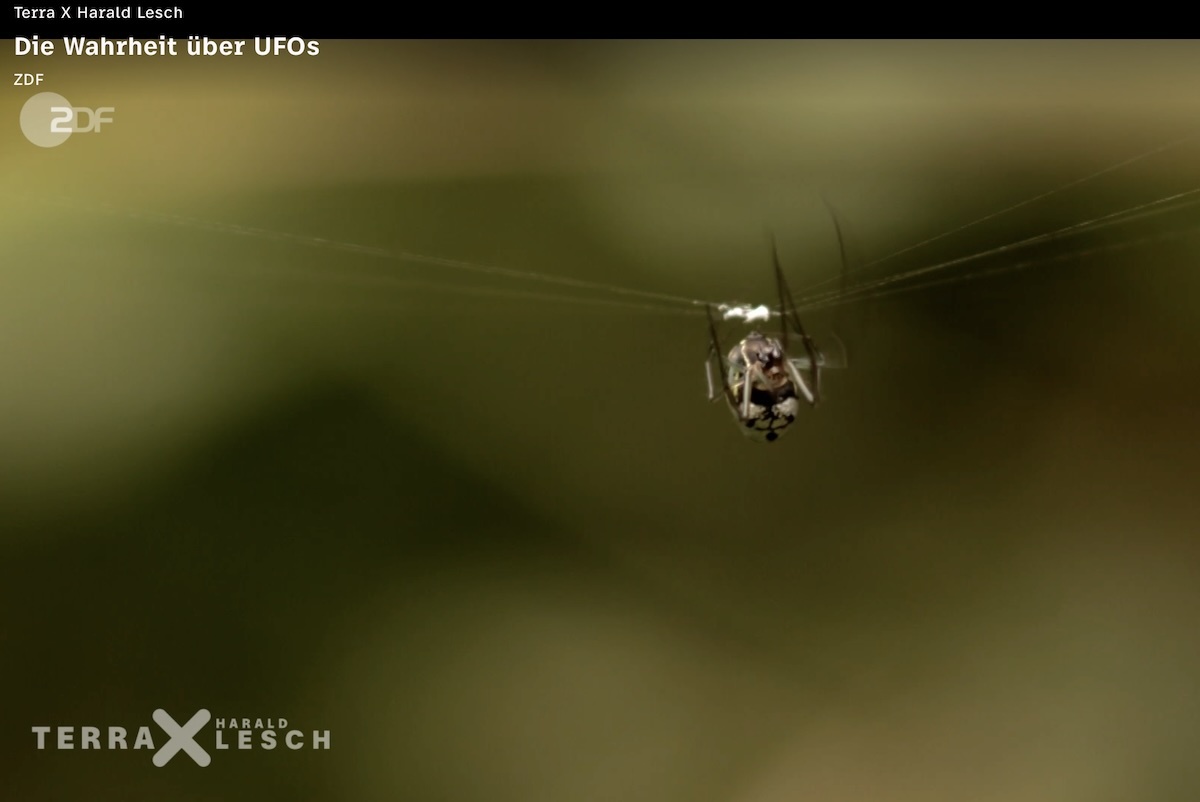 2025-11-4-terrax-cenap-av