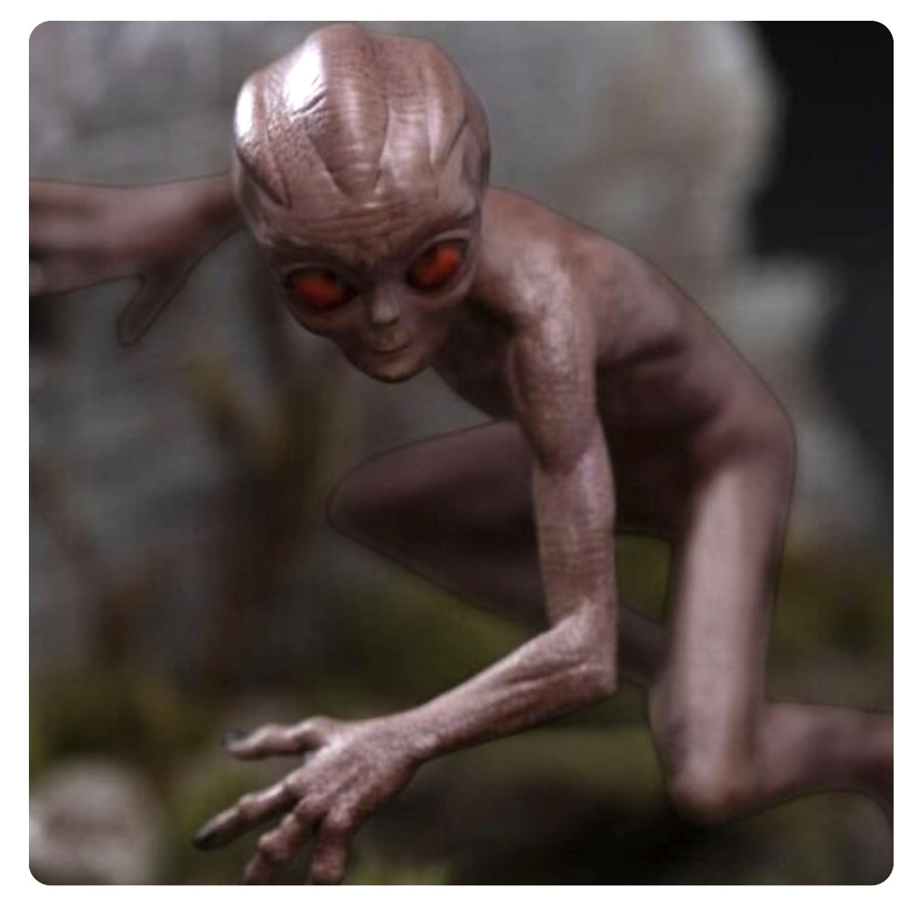 2026-01-20-varginha-brasilien-1996-story-aa