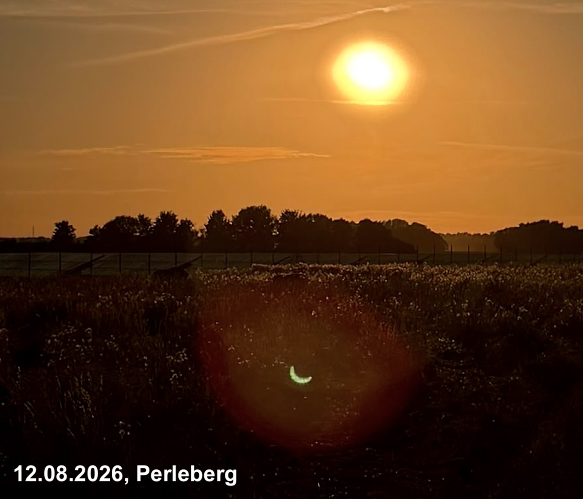 2026-08-12-bb-sofi-perleberg