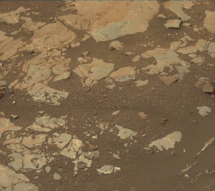 2156ml0116160090803170e01-dxxx