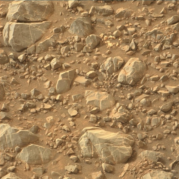 2161mr0116400000205510e01-dxxx