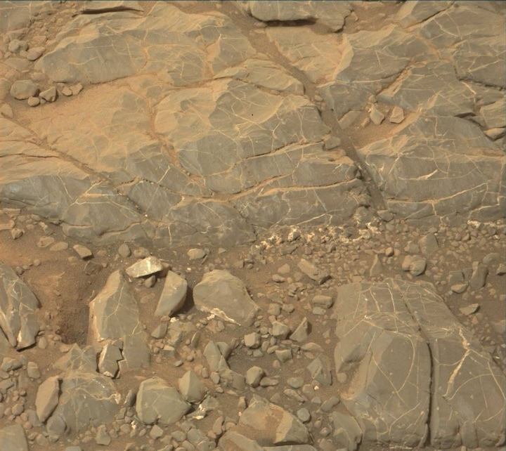 2163mr0116500000205544e01-dxxx