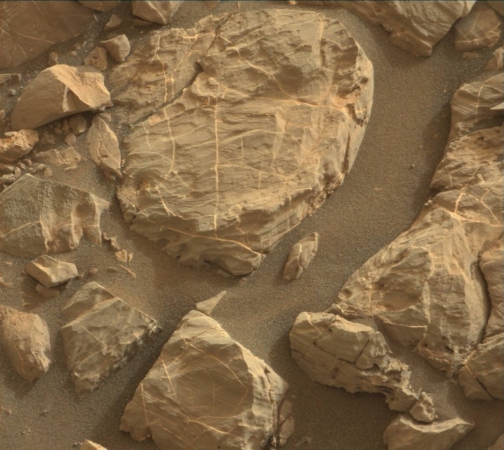 2163mr0116570040205557e01-dxxx