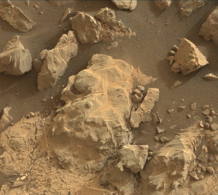 2163mr0116570080205561e01-dxxx