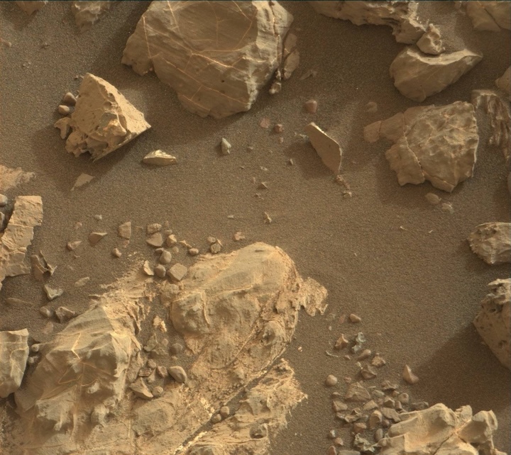 2163mr0116570090205562e01-dxxx