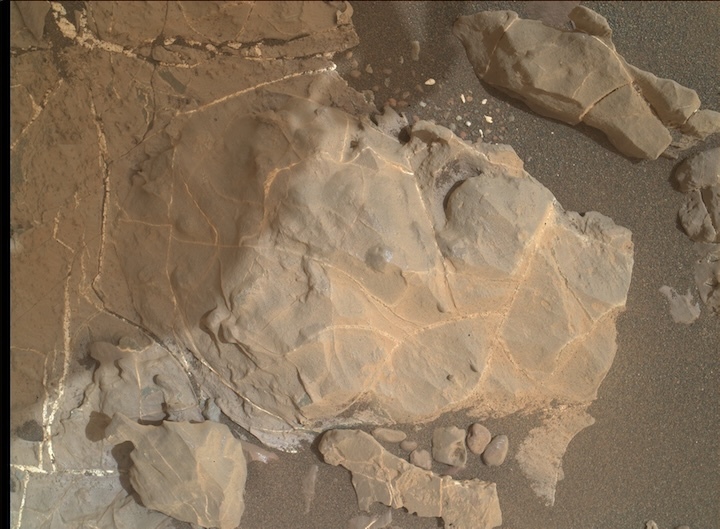 2166mh0001900010802841c00-dxxx