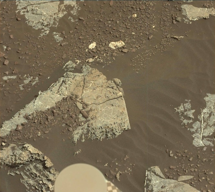 2222ml0117790000804211e01-dxxx