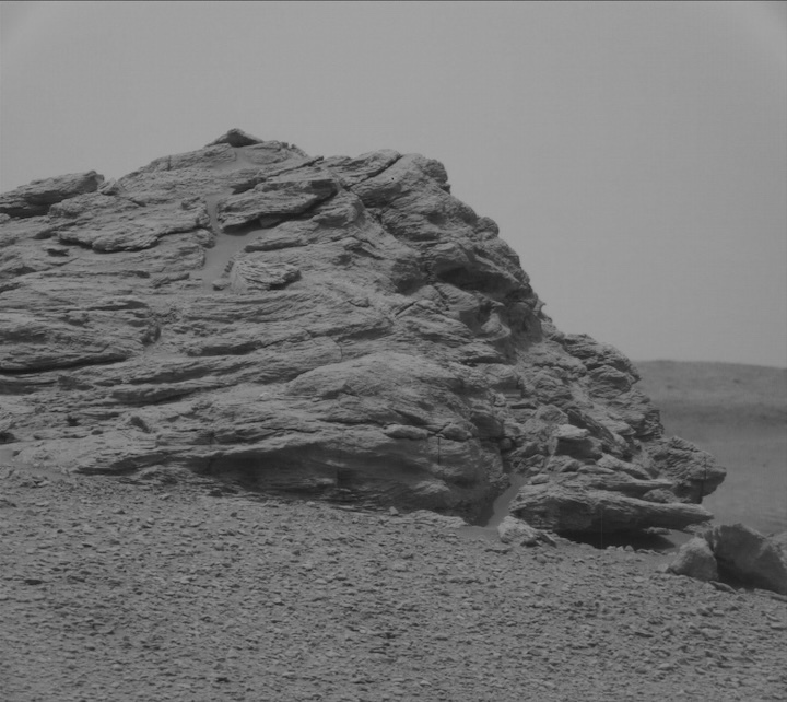 2311mr0123410021000773c00-dxxx