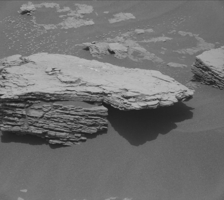 2339mr0124290091001199c00-dxxx