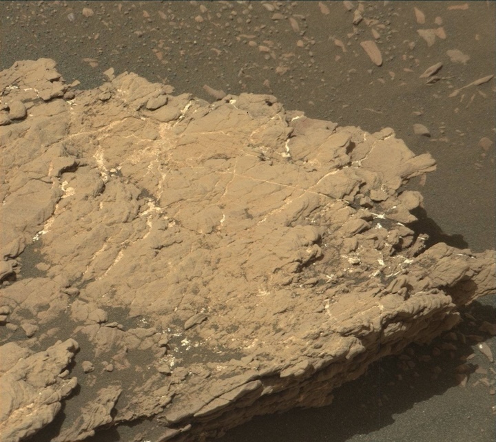 2381mr0126530011002100e01-dxxx-1