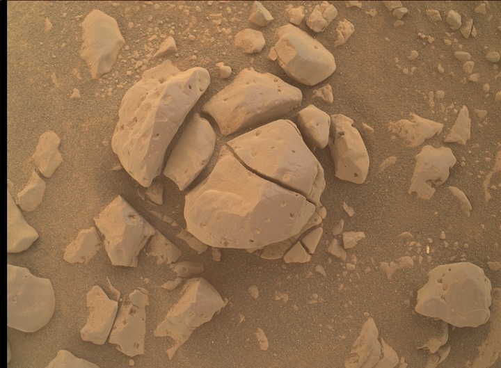 2442mh0001900010901455c00-dxxx