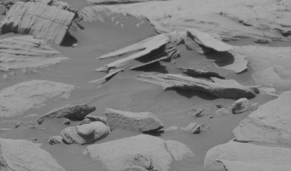 2731mr0143100401200597c00-dxxx