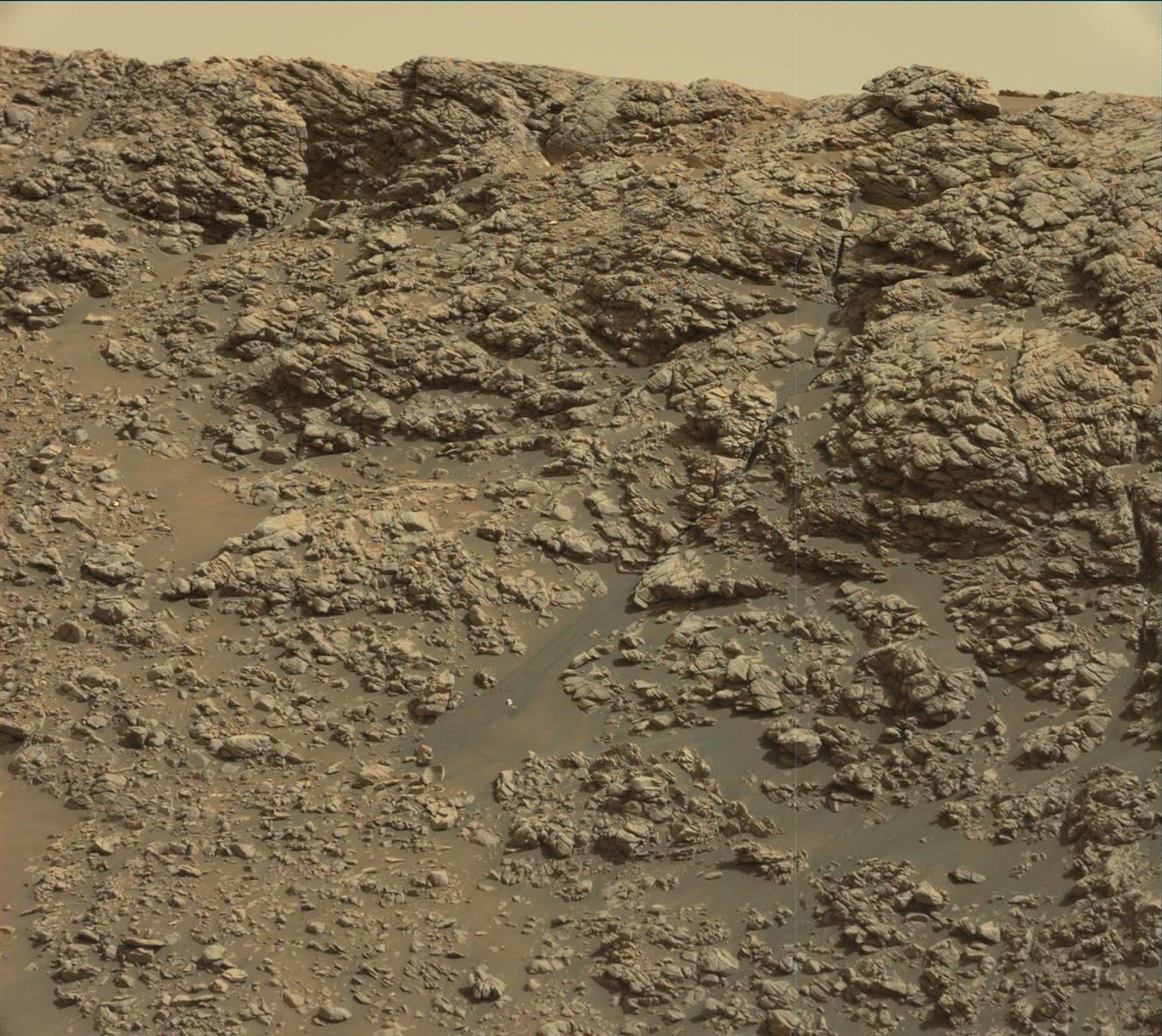 2923ml0152530041101951e01-dxxx