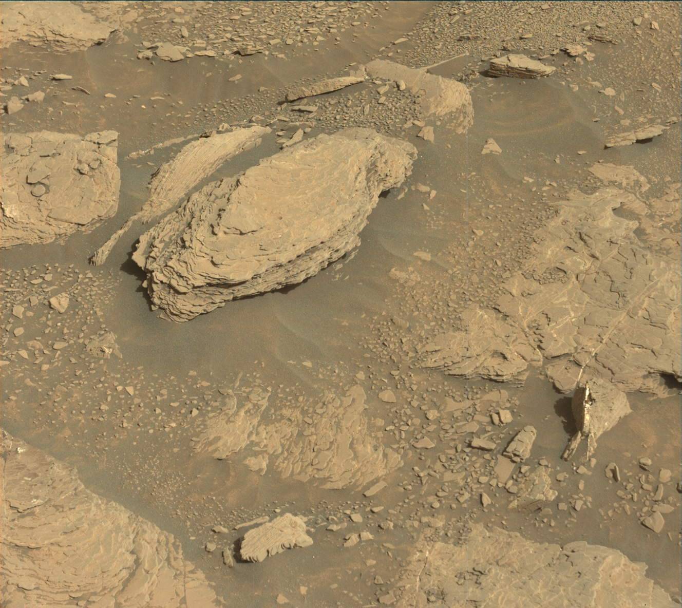 2933ml0153010041102425e01-dxxx