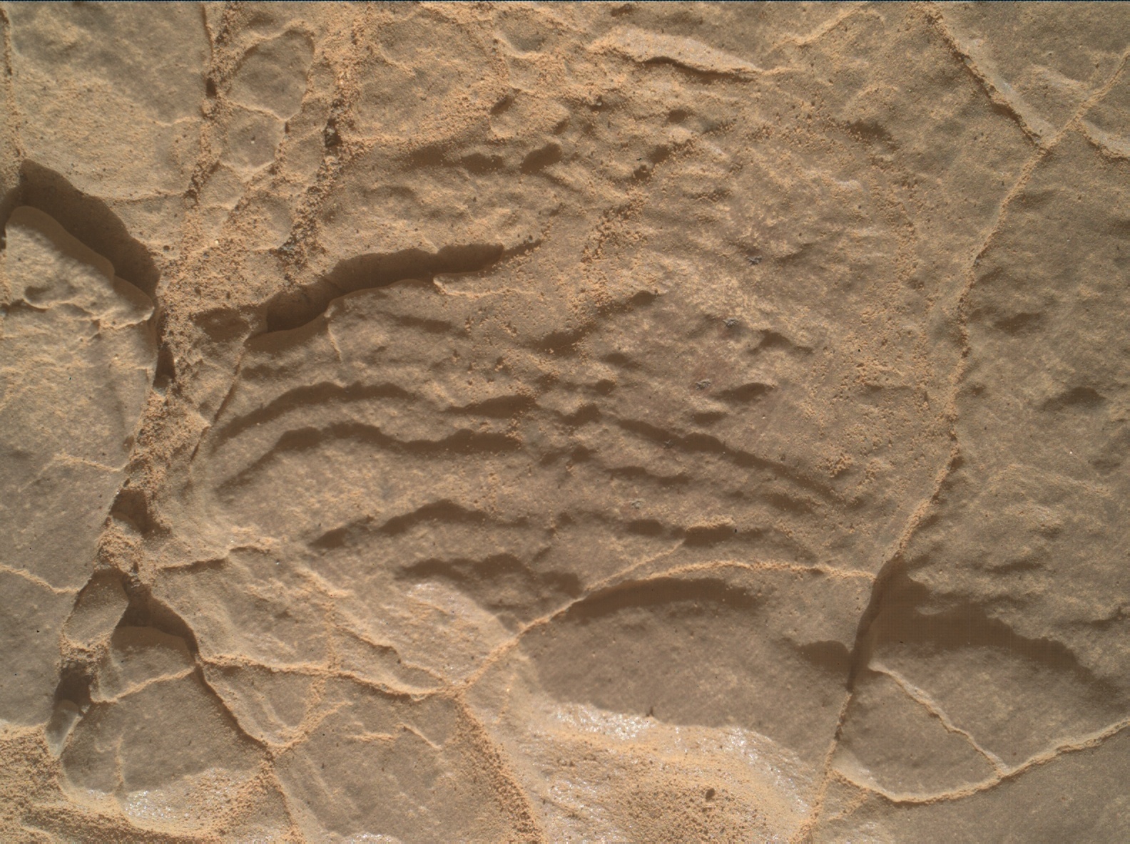 2945mh0001680021004184c00-dxxx