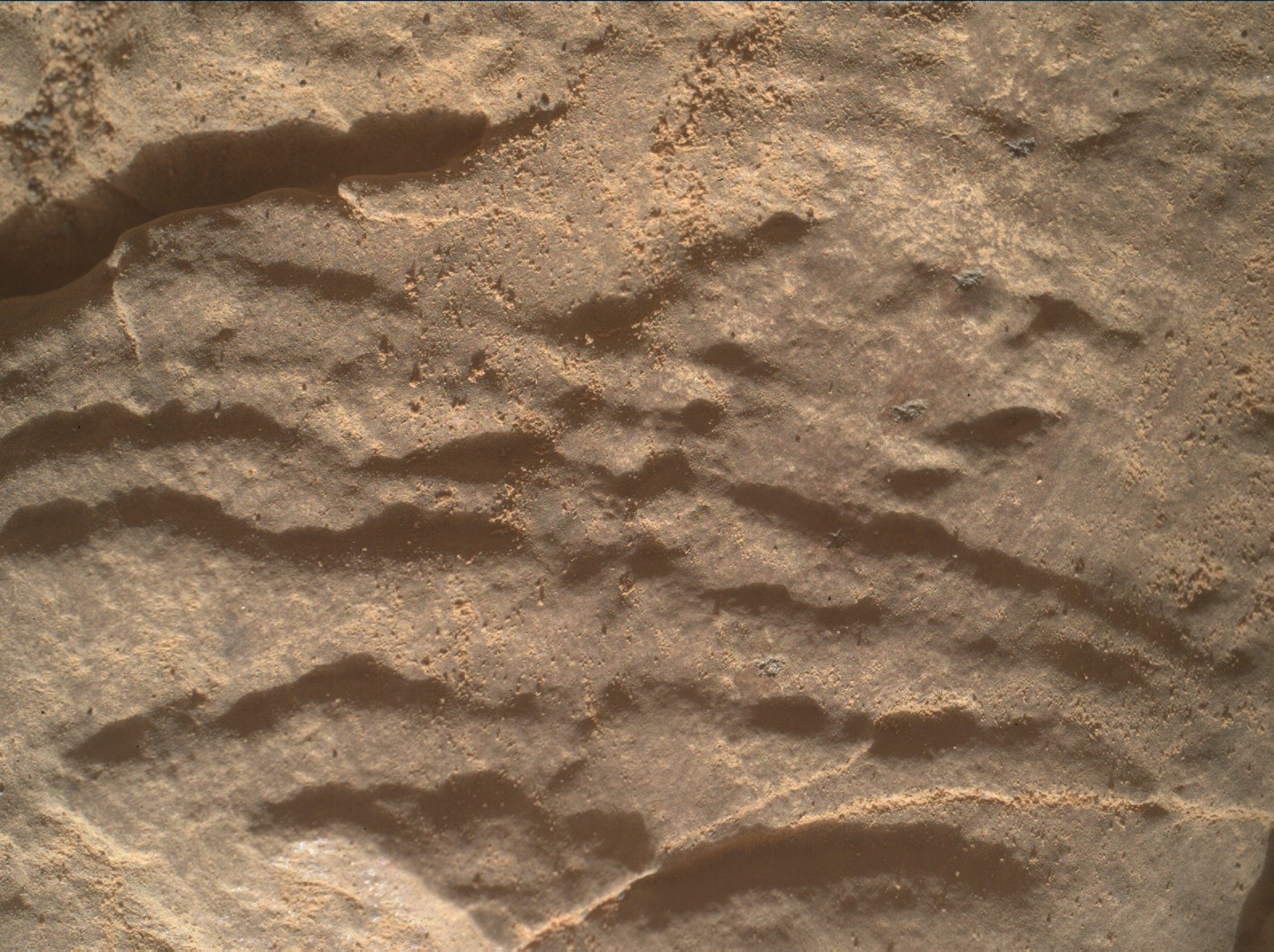 2945mh0004260021004206c00-dxxx