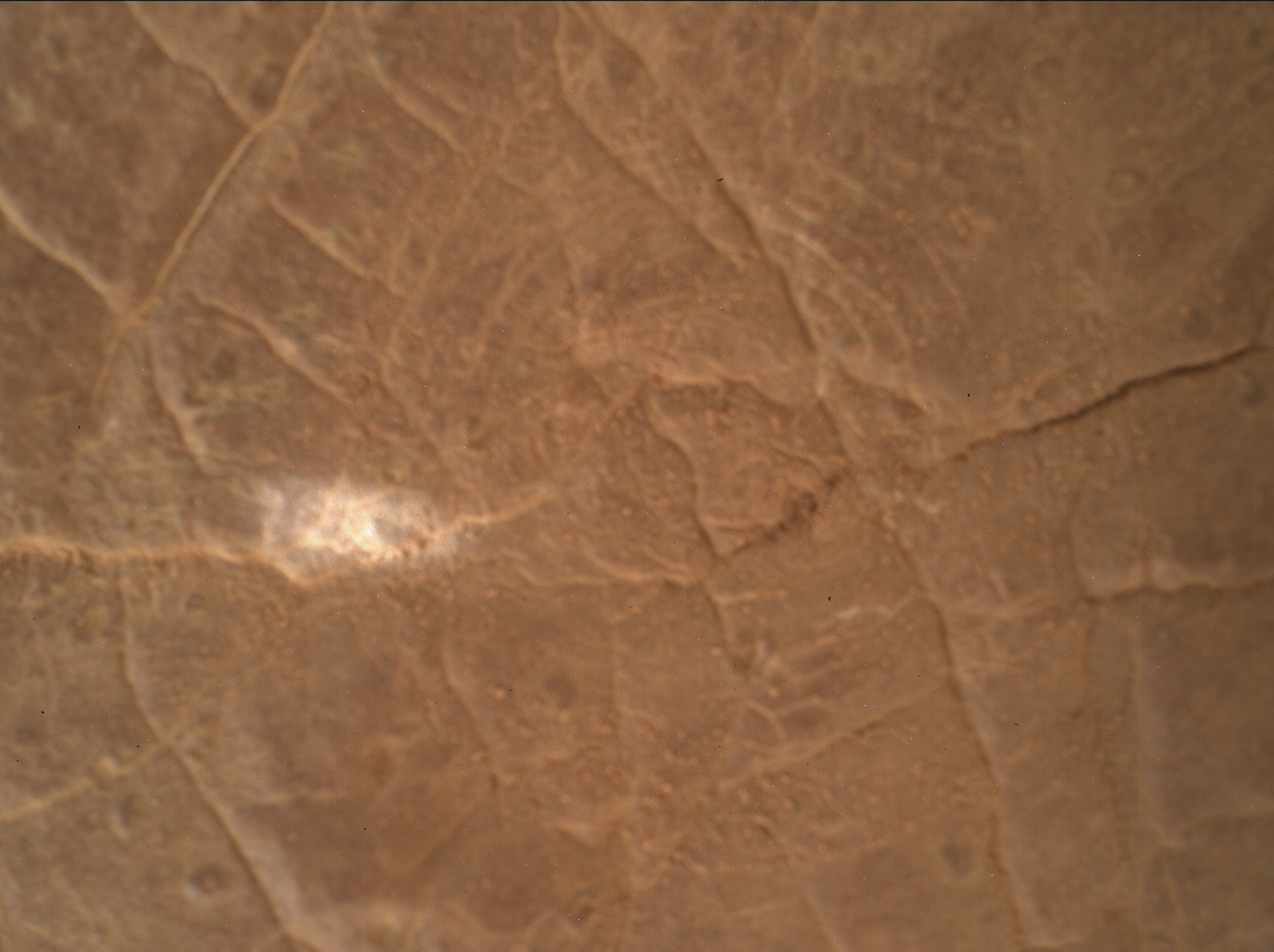 2974mh0007440031004623c00-dxxx