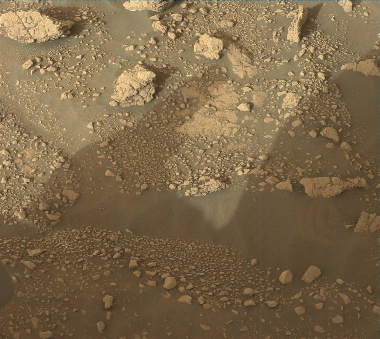 3005ml0156670031005645e01-dxxx-1
