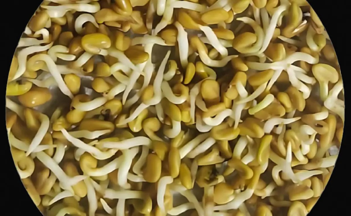 5b5romr8-sprouts-625x300-08-june-25