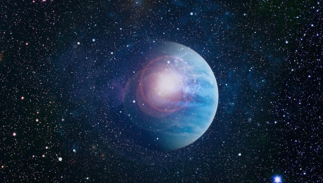 81085563-l