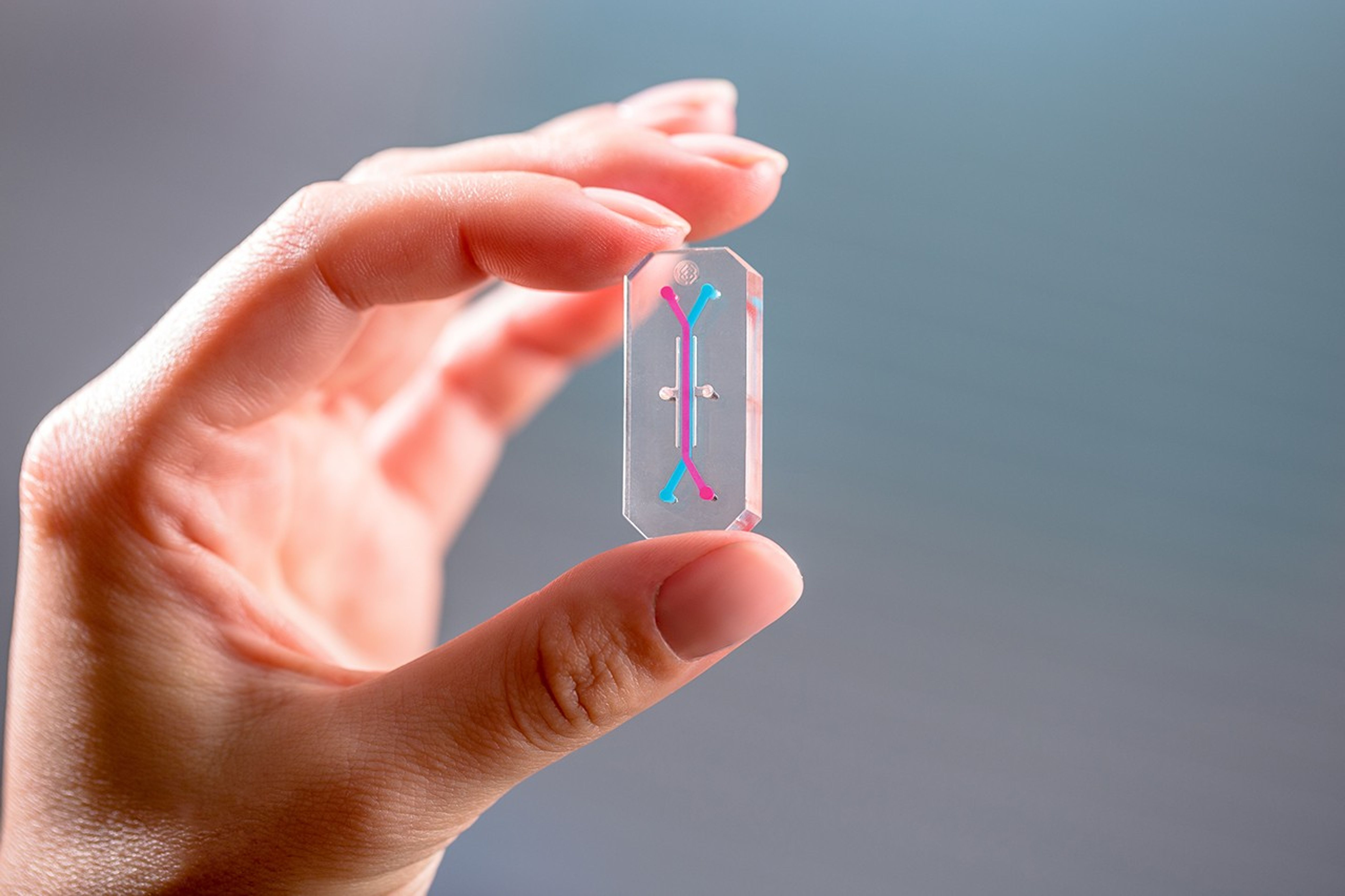 emulate-emulate-organ-chip-blue-2