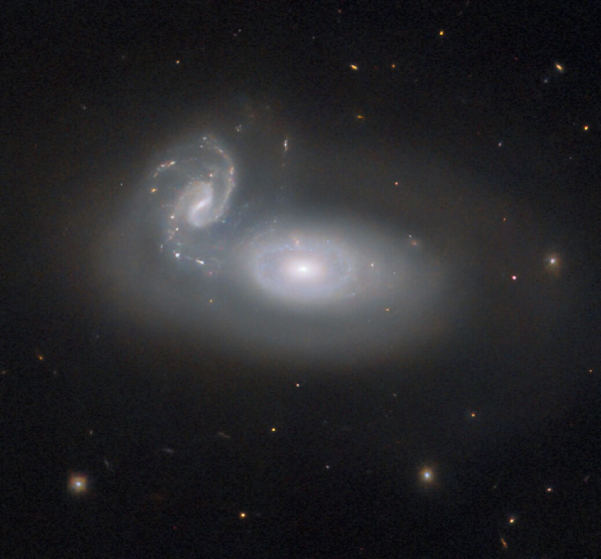 hubble--mcg05-31-045-potw2446a