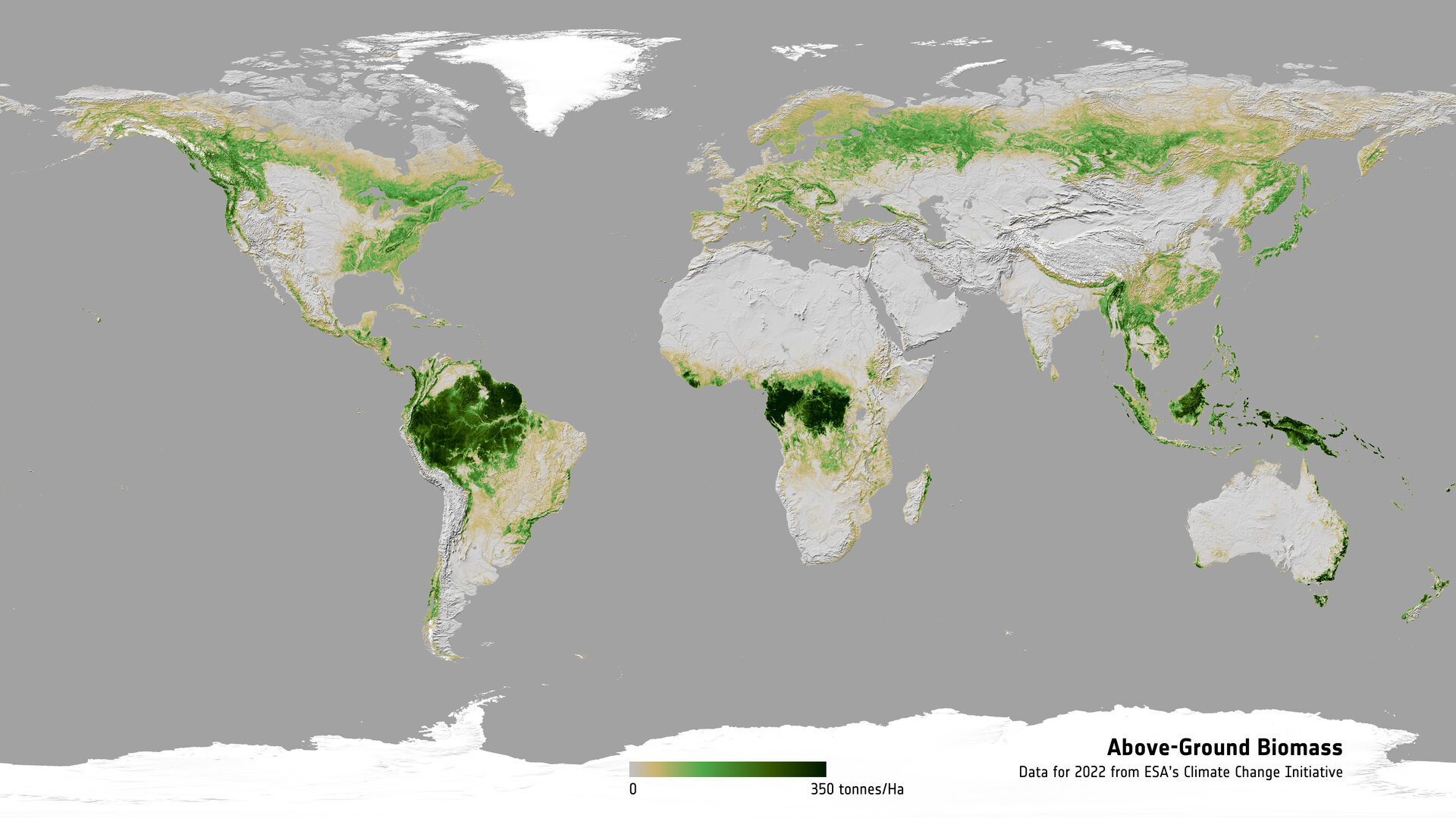 above-ground-biomass-2022-pillars