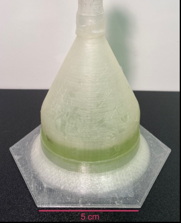algae-1