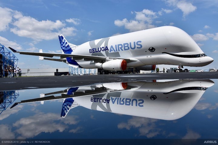 belugaxl-roll-out