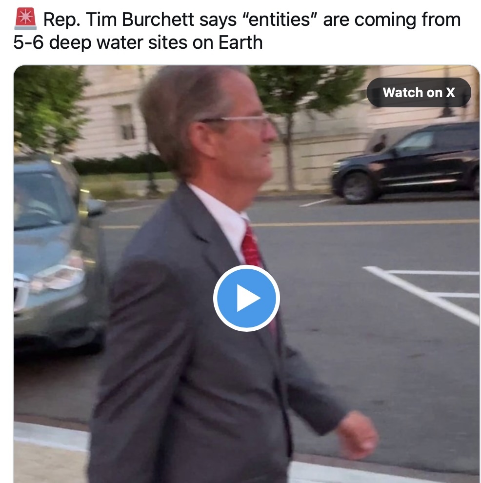 burchett-entities