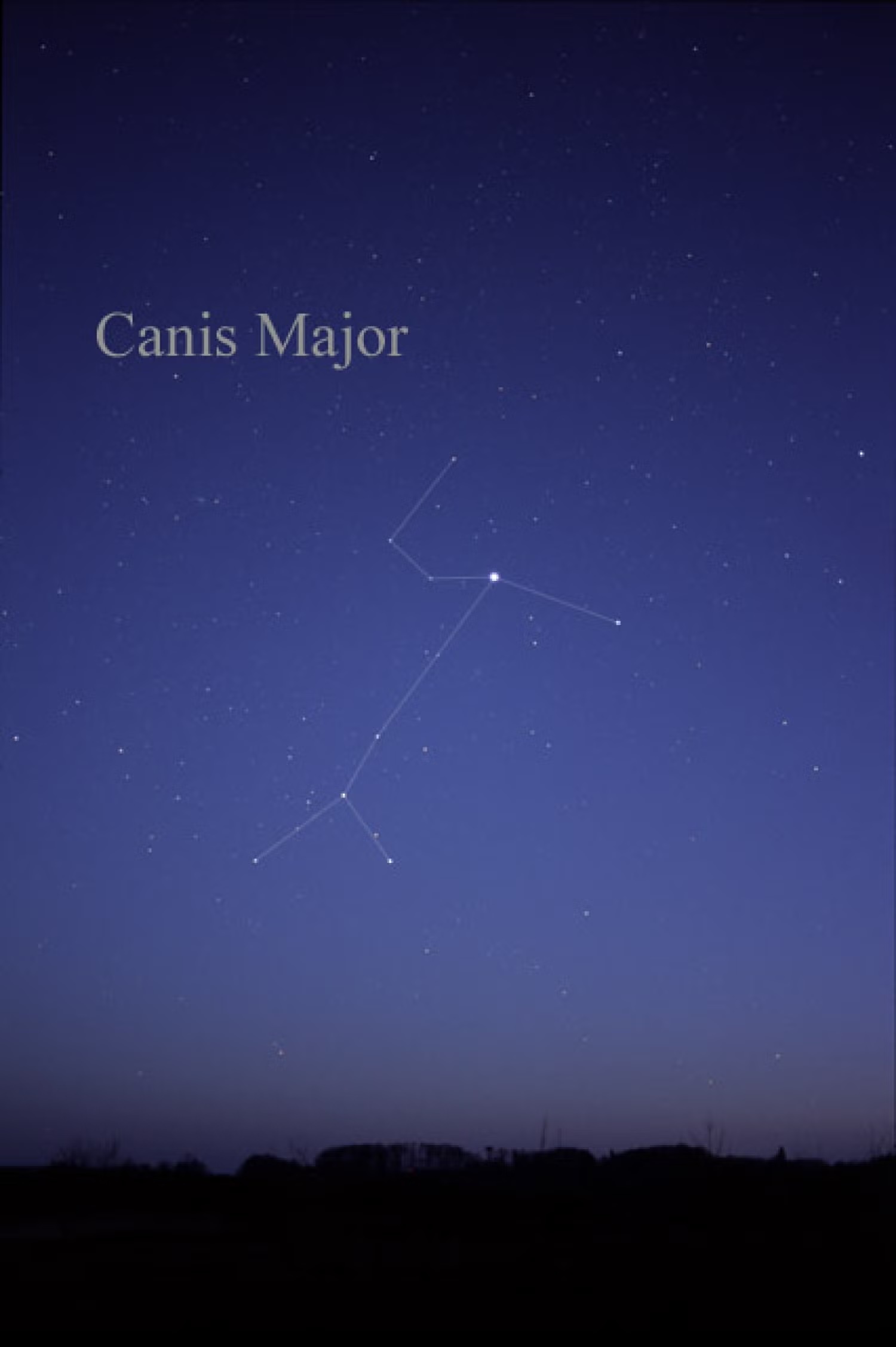constellation-canismajor