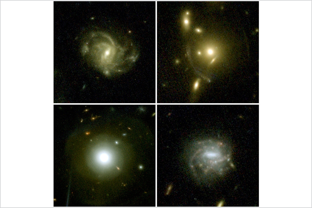 cosmos-web-galaxy-montage