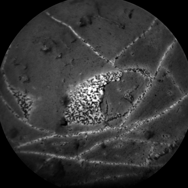 cr0-594216896prc-f0730000ccam01216l1