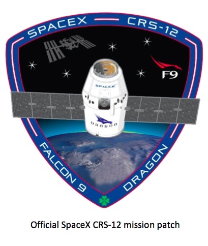 crs12-patch