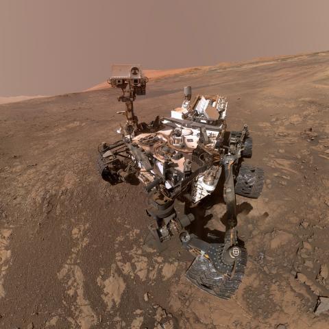 curiosity-cropped