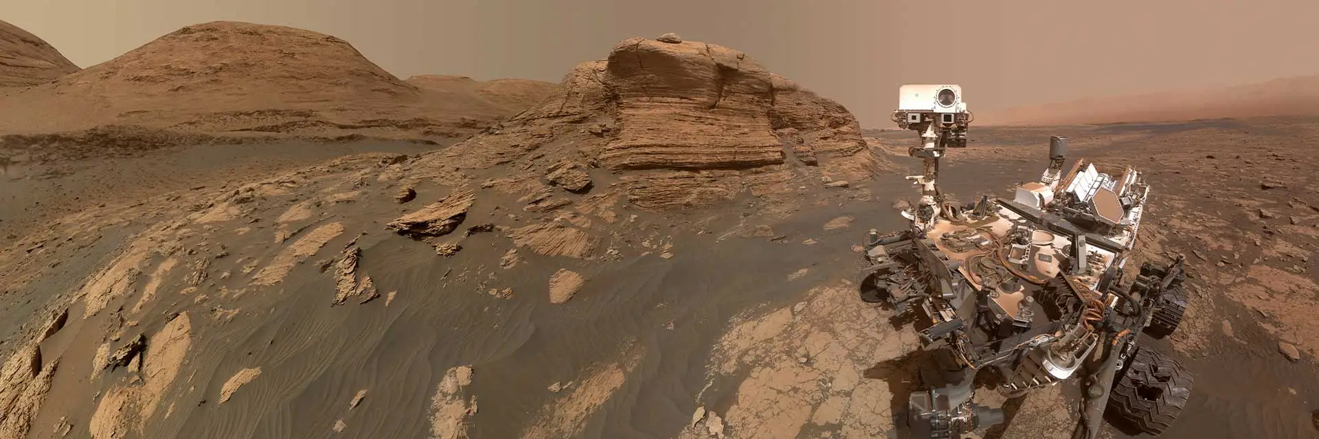 curiosity-wide