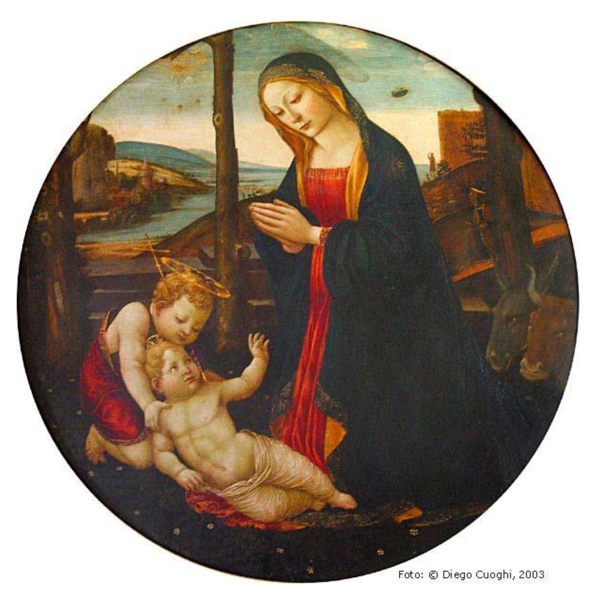 diego-cuoghi-ma