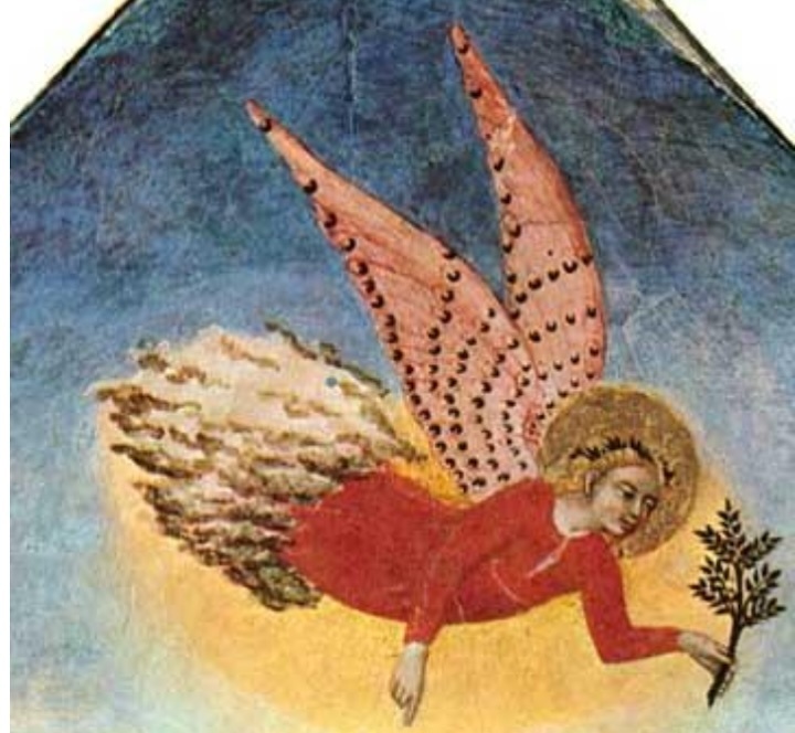 diego-cuoghi-mhba