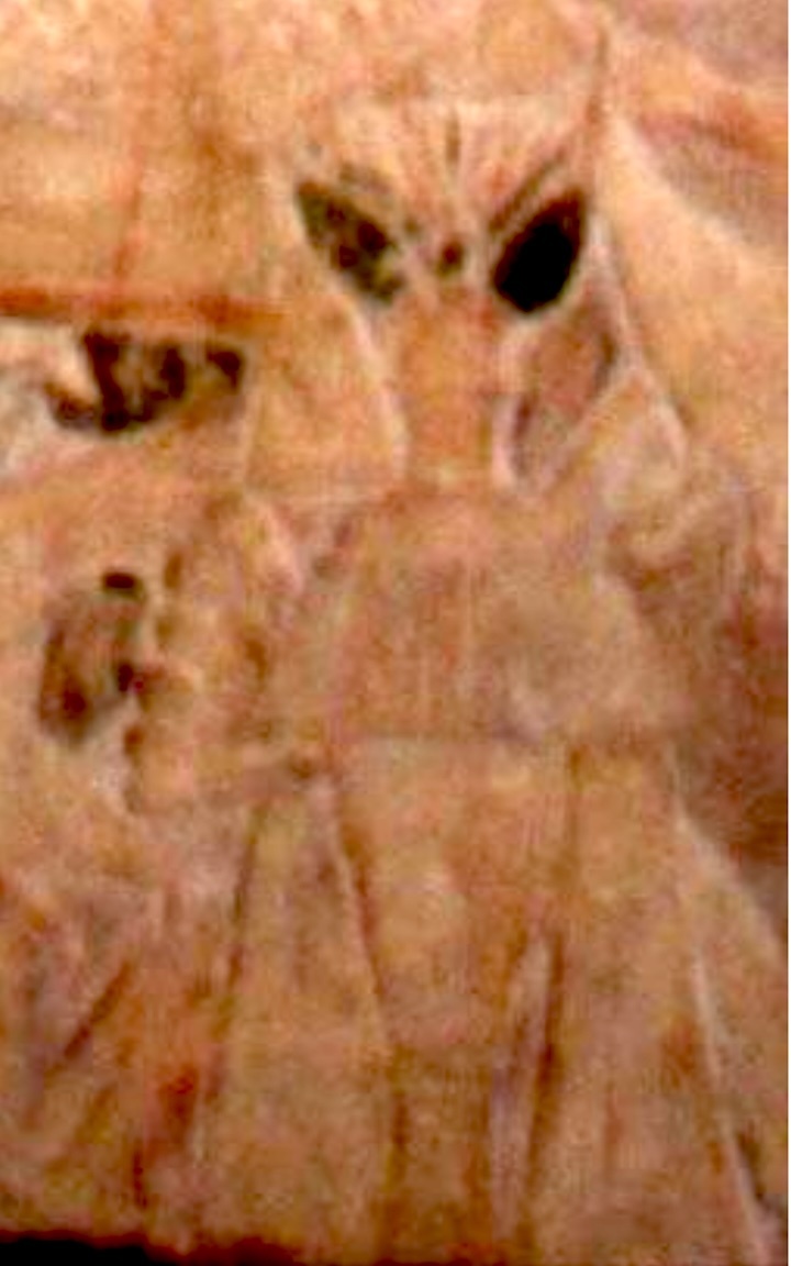 diego-cuoghi-pa