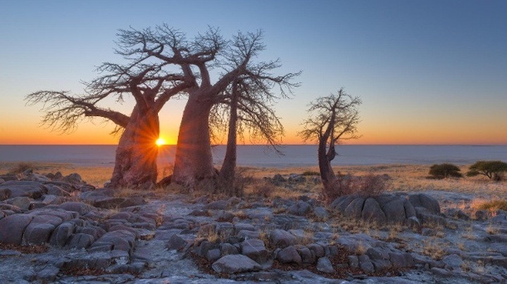 ein-sonnenaufgang-in-botswana-das-klima-in-dem-afrikanischen-land-war-einmal-deutlich-feuchter-als-h